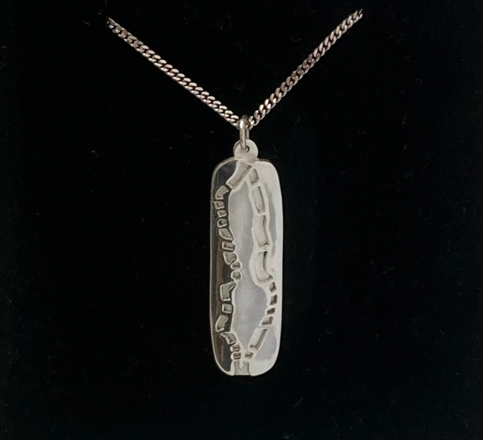 Squiggle pendant with silver chain