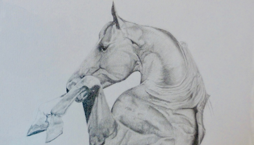 Pencil drawing of rearing stallion head close-up