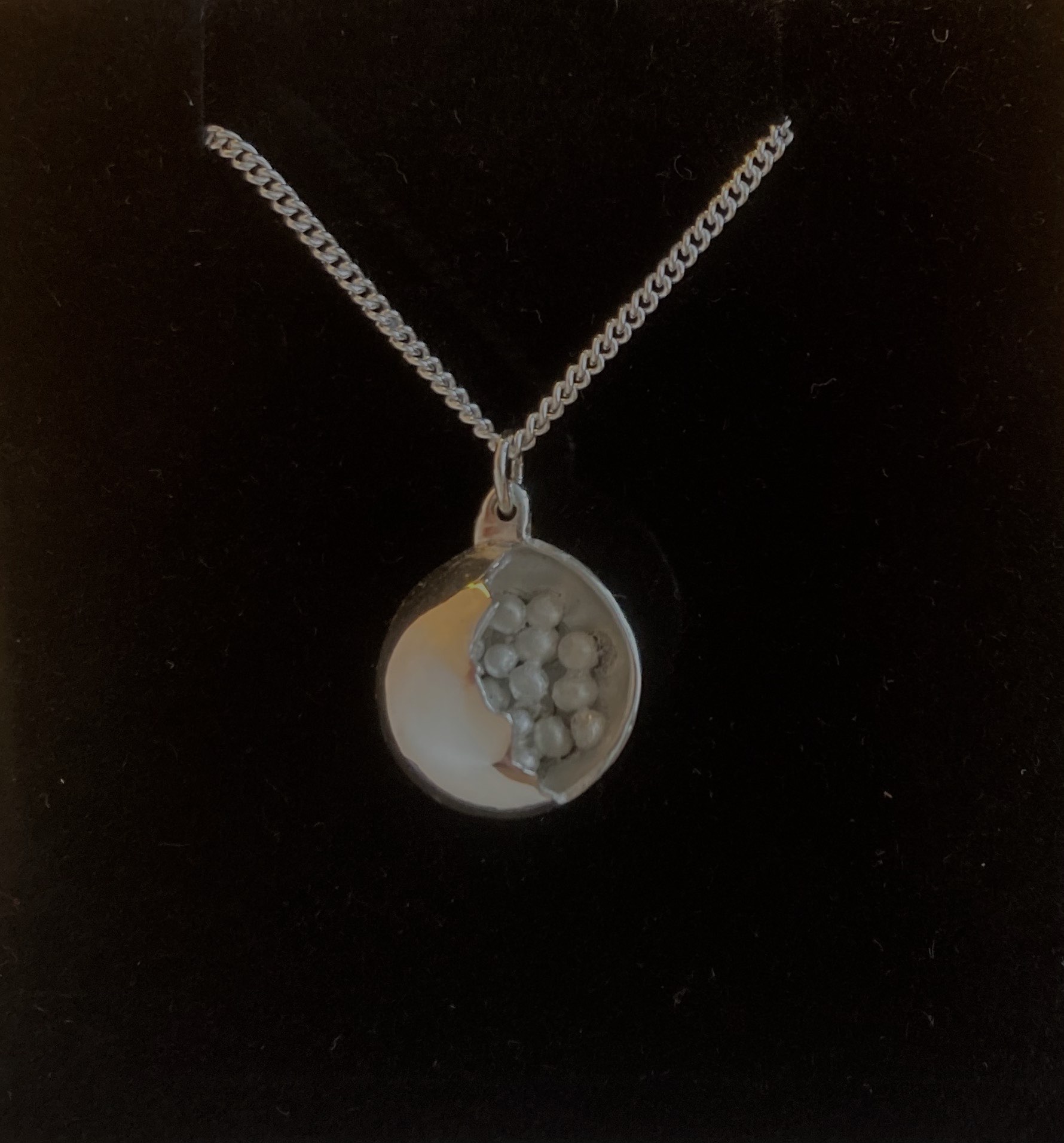 Silver cross section of a cell pendant with silver chain