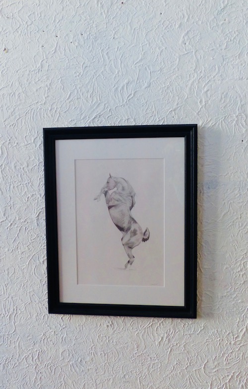 Pencil drawing of rearing stallion framed on wall