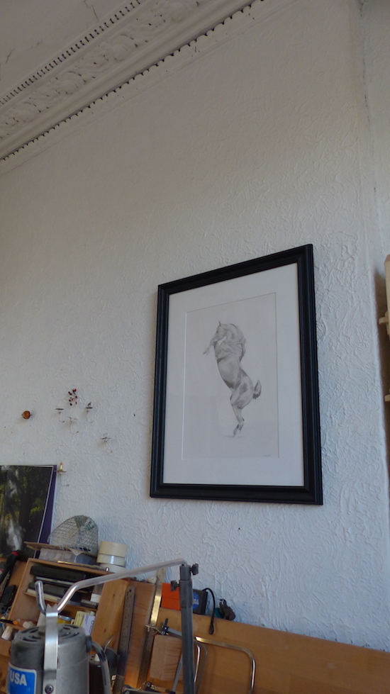 Pencil drawing of rearing stallion framed on wall