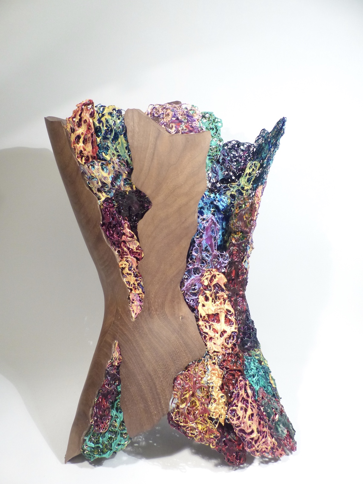 Learning to accept the rejected parts of the self